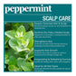 Difeel(Sunflower)  Peppermint Scalp Care Shampoo (12oz)