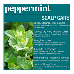 Difeel(Sunflower)  Peppermint Scalp Care Shampoo (12oz)