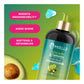 MIELLE Avocado & Tamanu Anti-Frizz Conditioner (12oz)