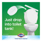 CLOROX Automatic Toilet Bowl Cleaner with Bleach (100g)