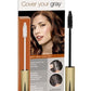 COVER YOUR GRAY Brush-in Wand