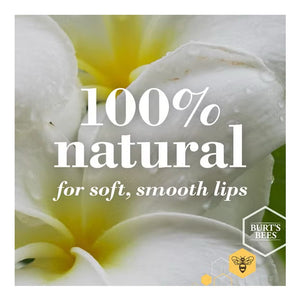 BURT'S BEES Lip Balm Beeswax 3Pk Blister