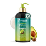 Mielle Avocado & Tamanu Anti-Frizz Shampoo bottle with avocado and Tamanu seed on a white background