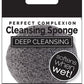 ANNIE Almine Perfect Complexion Cleansing Sponge
