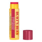 BURT'S BEES Lip Balm Refill Pack (0.15oz)