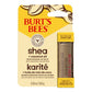 BURT'S BEES Lip Balm Shea + Cocount Oil (0.34oz)