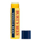 BURT'S BEES Lip Balm Refill Pack (0.15oz)