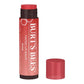 BURT'S BEES Tinted Lip Balm (0.15oz)