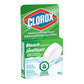 CLOROX Automatic Toilet Bowl Cleaner with Bleach (100g)