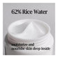 MIDHA Rice Cream (1.69oz)