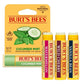 BURT'S BEES Lip Balm Blister (0.15oz)