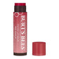 BURT'S BEES Tinted Lip Balm (0.15oz)