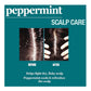 Difeel(Sunflower)  Peppermint Scalp Care Shampoo (12oz)
